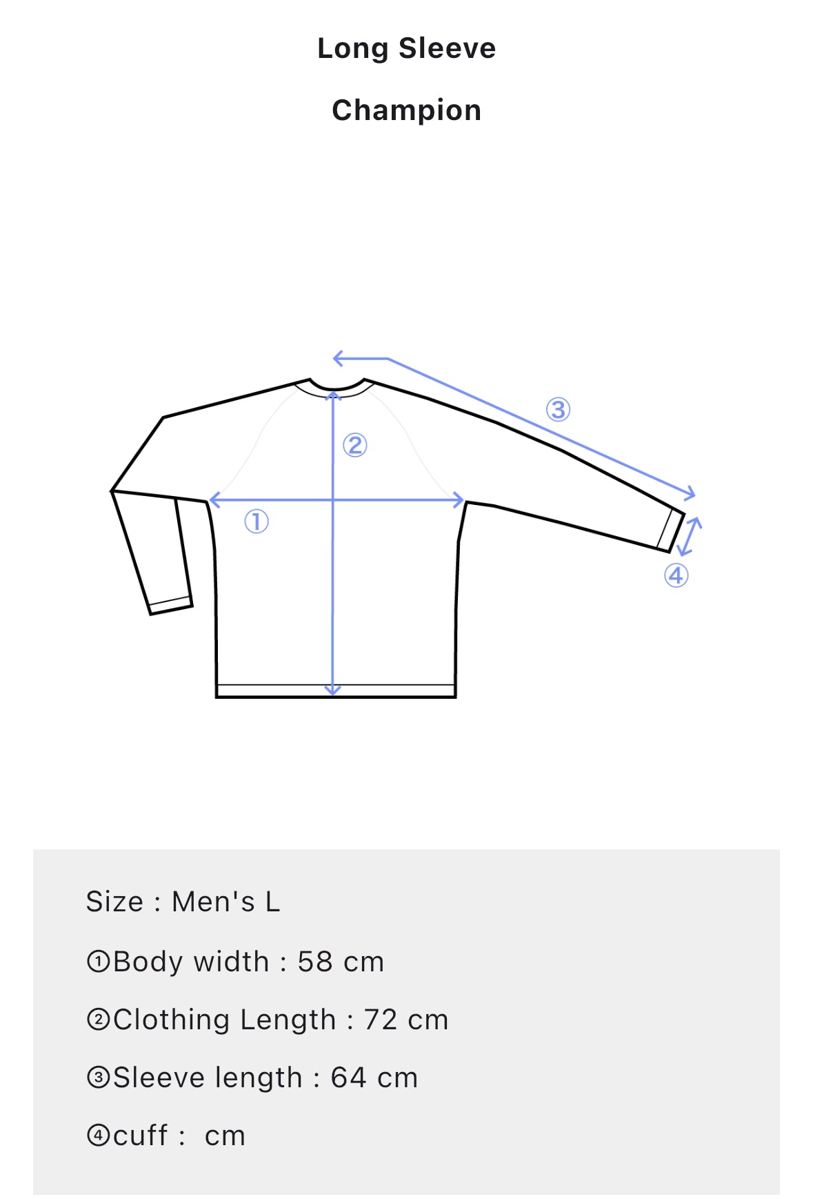 Champion Gray Crewneck Sweatshirt